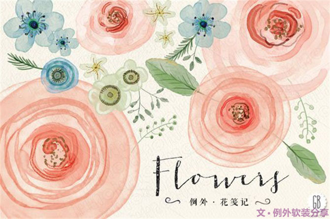 【例外.花箋記】洋牡丹，花叢中的人氣精靈