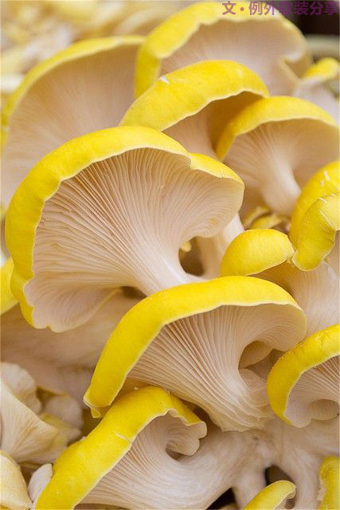 深圳又雙叒叕要入冬了，這次成功登陸？-別墅設計,軟裝設計,室內(nèi)設計,豪宅設計,深圳例外軟裝設計公司
