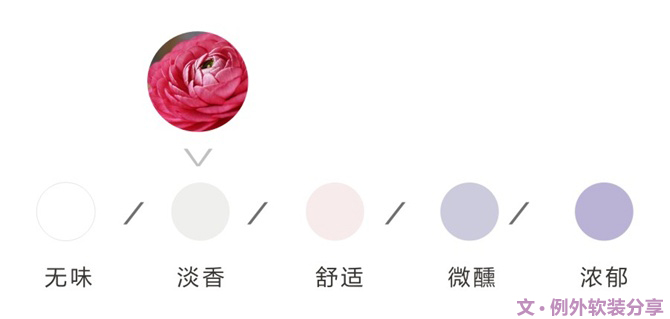【例外·花箋記】洋牡丹，花叢中的人氣精靈-別墅設計,軟裝設計,室內設計,豪宅設計,深圳例外軟裝設計公司
